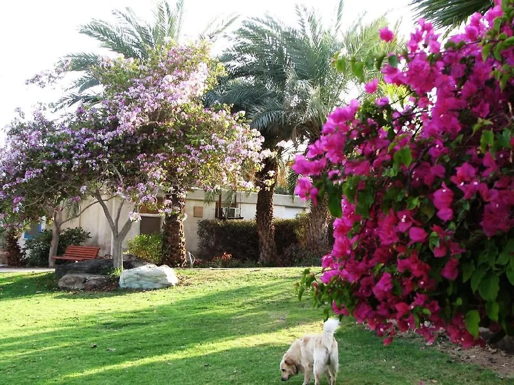 Eilot Kibbutz Country Lodging Eilat 2*,  Israel